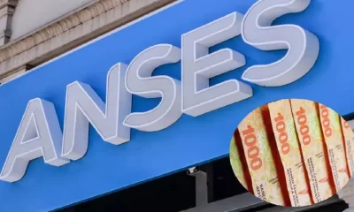 anses
