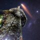 La estrategia de Brasil para no ser un satélite de Elon Musk