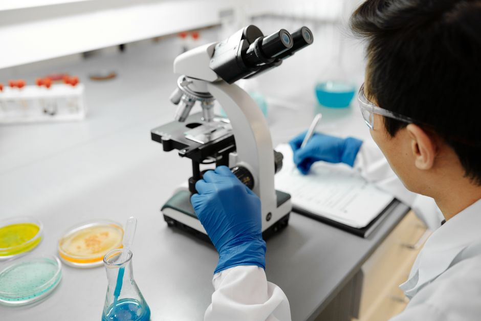 CONICET y el cáncer renal: estudio sobre el tejido adiposo