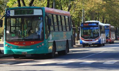 el boleto de colectivo en La Plata