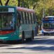 el boleto de colectivo en La Plata