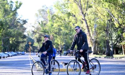 Paseo del Bosque de La Plata, plan de manejo del Paseo del Bosque