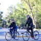 Paseo del Bosque de La Plata, plan de manejo del Paseo del Bosque