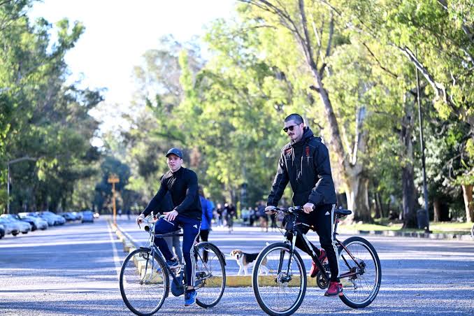 Paseo del Bosque de La Plata, plan de manejo del Paseo del Bosque